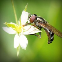 /album/matematicastambores/photolia-a02-jpg/