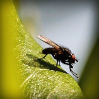 /album/matematicastambores/photolia-a04-jpg/
