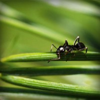 /album/matematicastambores/photolia-a05-jpg/