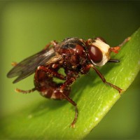 /album/matematicastambores/photolia-a06-jpg/