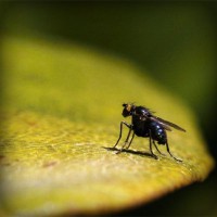 /album/matematicastambores/photolia-a07-jpg/